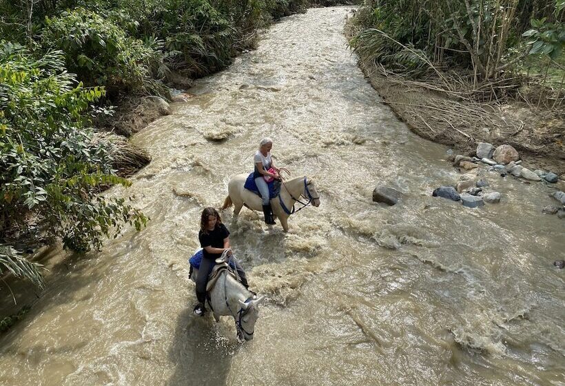 בית מלון כפרי Gran Azul