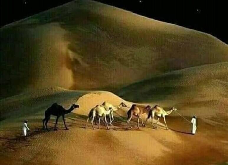 هتل Etoile Sahara Camp