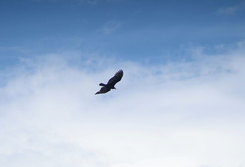 فندق Evolucao Ecolodge