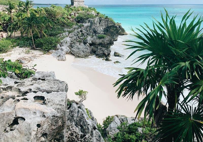 ホテル Green Caps Cancún Hospedaje