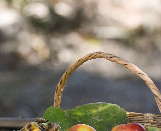 Hotel Himalayan River Garden