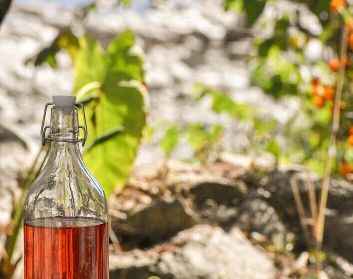 Hotel Himalayan River Garden