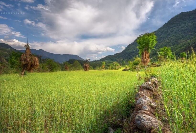 Hotel Himalayan River Garden