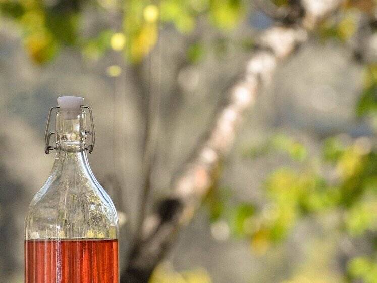 Hotel Himalayan River Garden