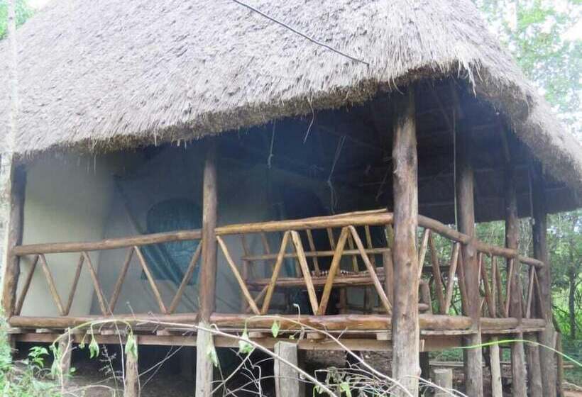 هتل Jungle Lodge Kibale