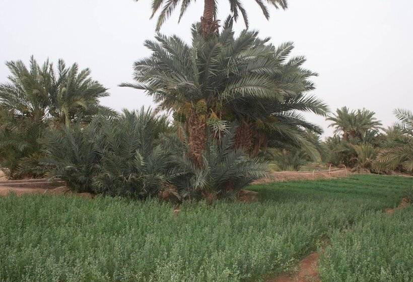 בית מלון כפרי Kasbah Desert Camp