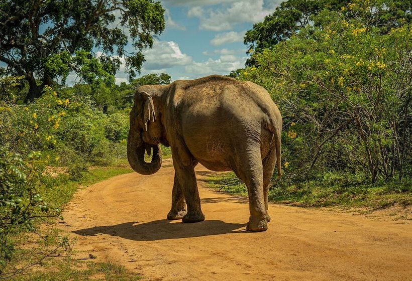 호텔 Leopard Reach Yala By Seven Angels