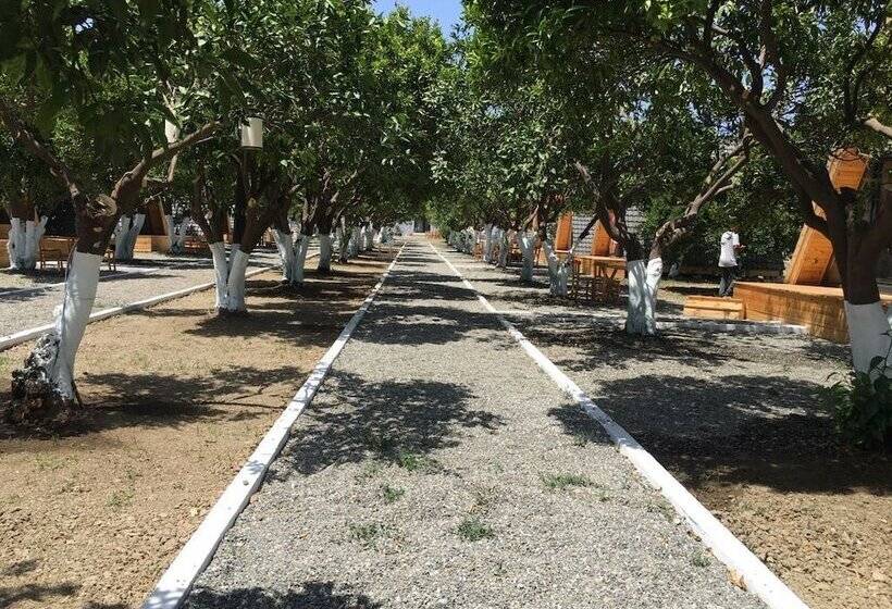 فندق Limon Datca