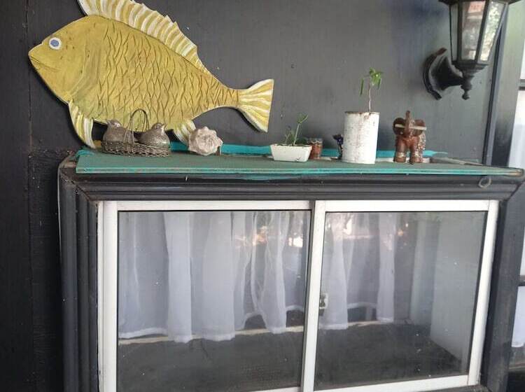 בית מלון כפרי House Honu Rapanui Inn