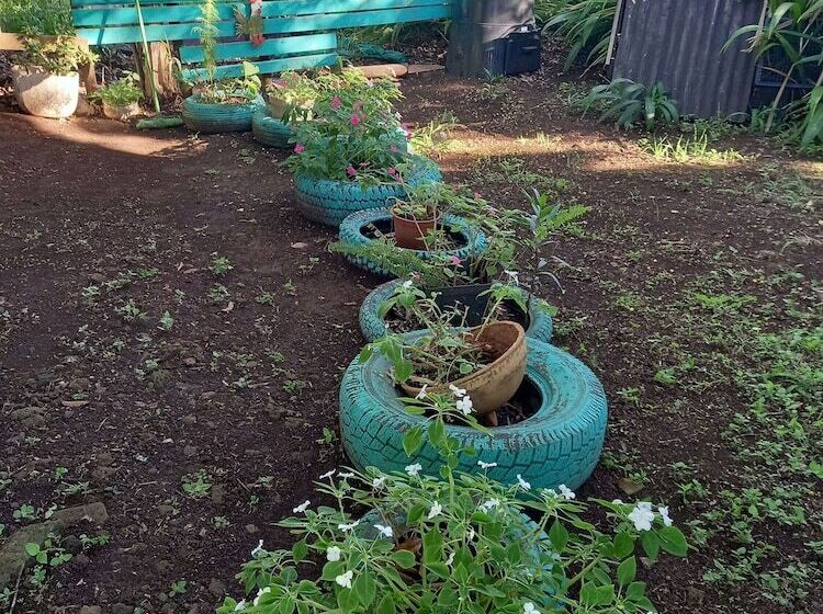 בית מלון כפרי House Honu Rapanui Inn