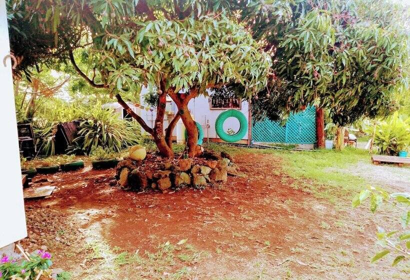בית מלון כפרי House Honu Rapanui Inn