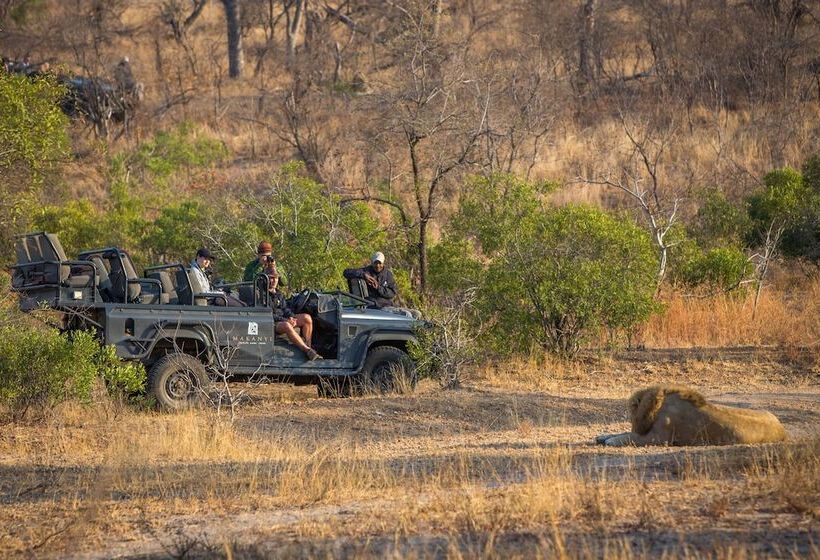 Отель Makanyi Private Game Lodge