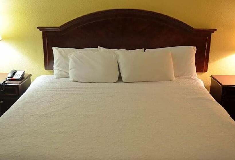 호텔 Mclure Inn And Suites