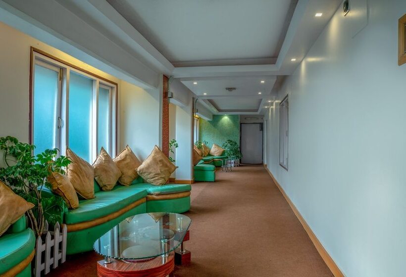 هتل Mount Conifer Suites & Spa