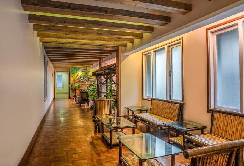 هتل Mount Conifer Suites & Spa