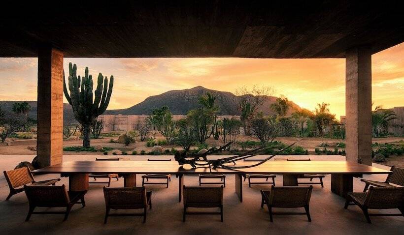 酒店 Paradero Todos Santos Exclusive Experiences