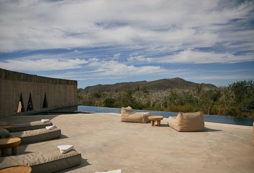 酒店 Paradero Todos Santos Exclusive Experiences