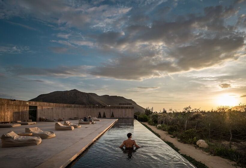 فندق Paradero Todos Santos   Exclusive Experiences