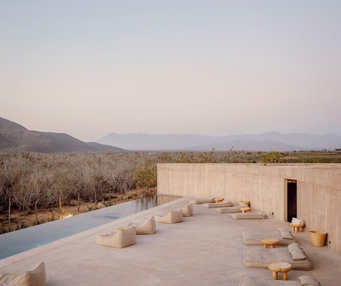 酒店 Paradero Todos Santos Exclusive Experiences