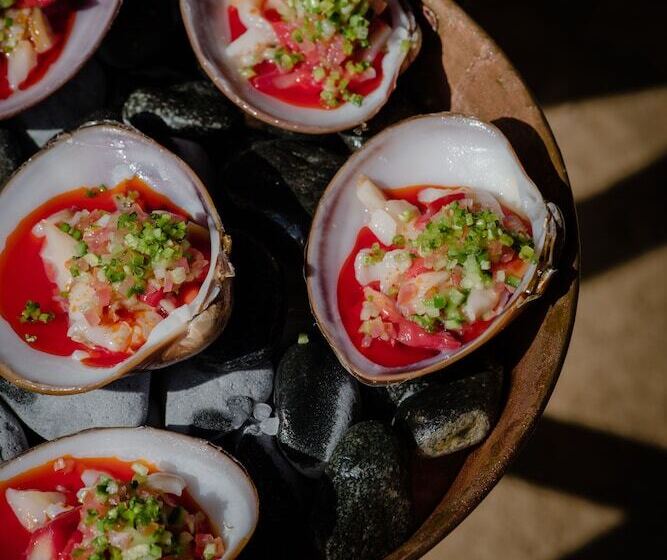 酒店 Paradero Todos Santos Exclusive Experiences