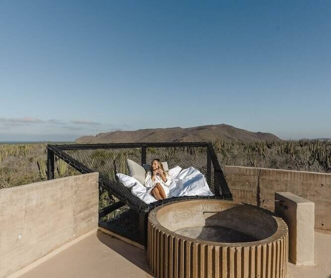 酒店 Paradero Todos Santos Exclusive Experiences