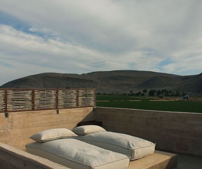 酒店 Paradero Todos Santos Exclusive Experiences