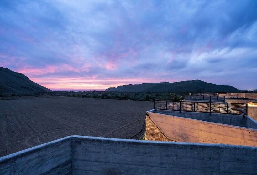 酒店 Paradero Todos Santos Exclusive Experiences