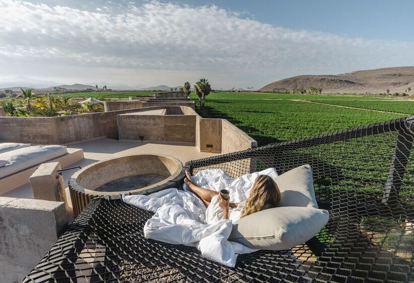 酒店 Paradero Todos Santos Exclusive Experiences