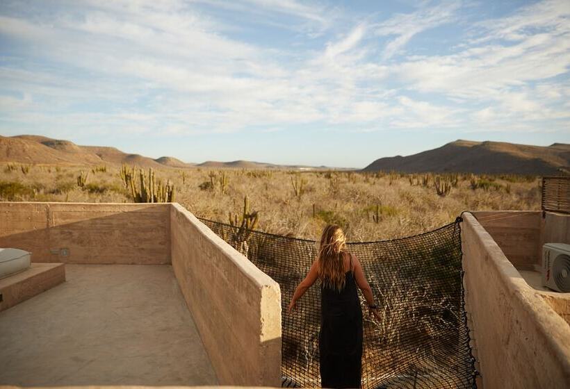 酒店 Paradero Todos Santos Exclusive Experiences