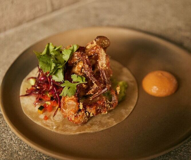 酒店 Paradero Todos Santos Exclusive Experiences