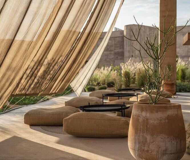 酒店 Paradero Todos Santos Exclusive Experiences