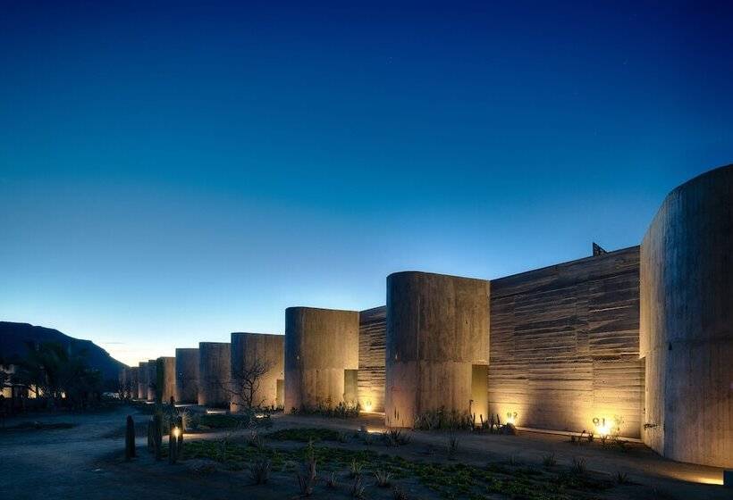 酒店 Paradero Todos Santos Exclusive Experiences