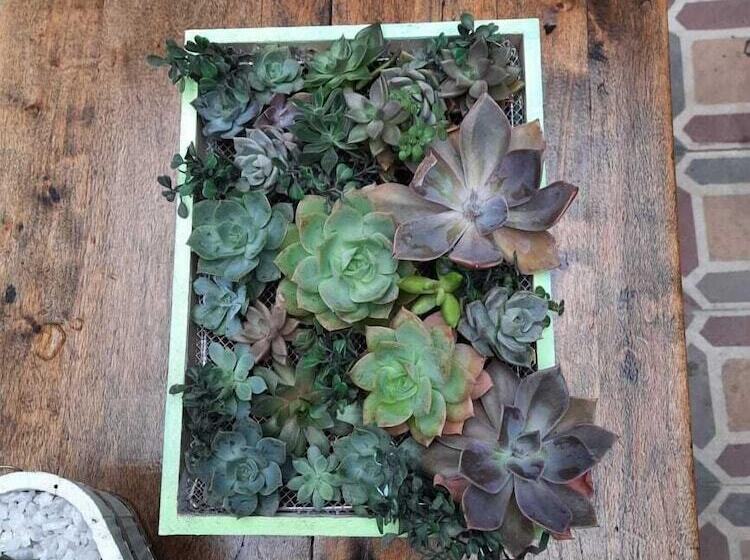 בית מלון כפרי Posada Santa Elena