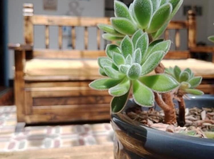 هتل Posada Santa Elena