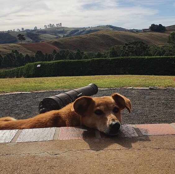 酒店 Cachoeira Dos Luis Parque E Pousada