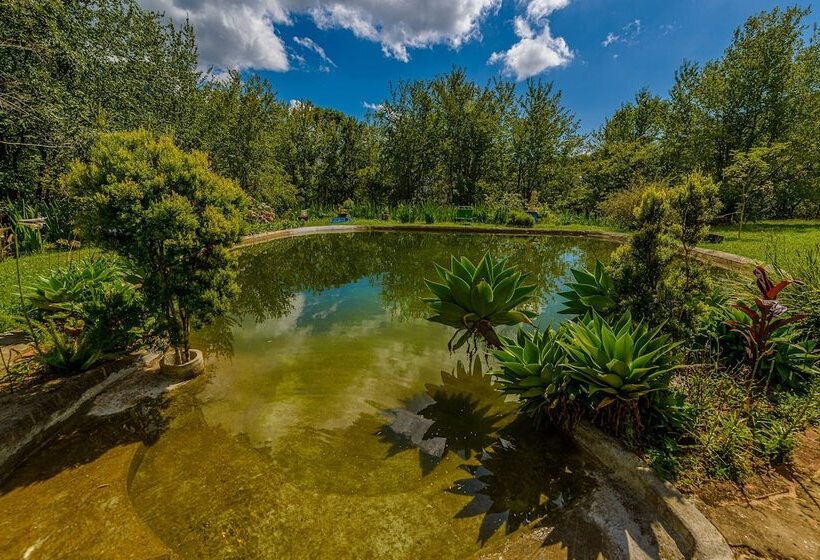 酒店 Mandala Das águas