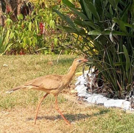 酒店 Pousada Rancho Flores