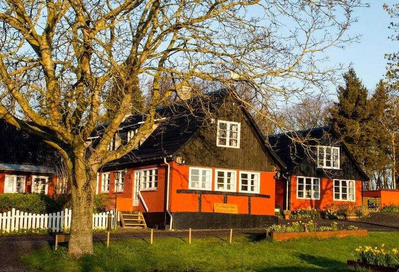 هتل Pyttegaarden Apartments