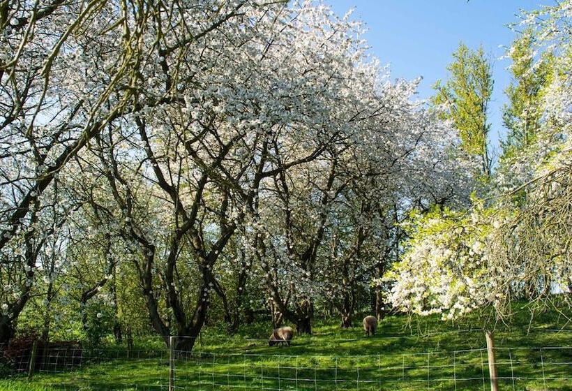 فندق Pyttegaarden Apartments