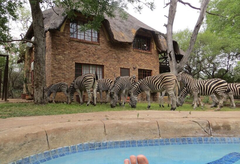 ホテル Rafiki's Resthouse