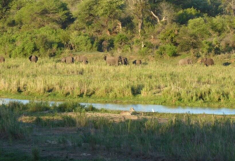 ホテル Rafiki's Resthouse