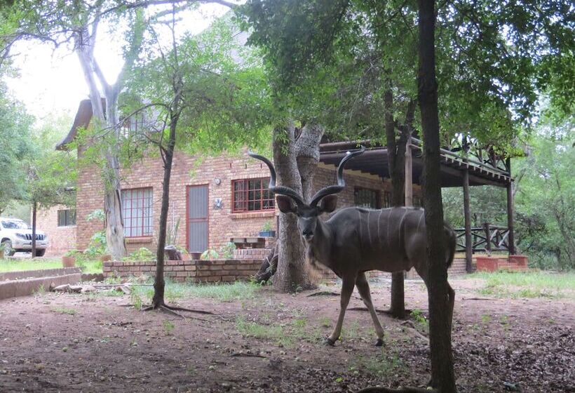 ホテル Rafiki's Resthouse