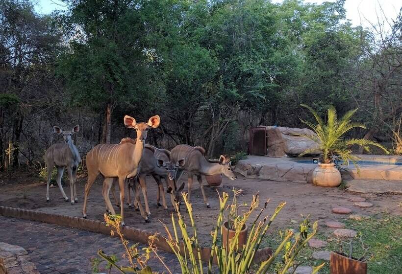 ホテル Rafiki's Resthouse