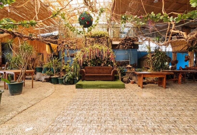 בית מלון כפרי Reddoorz Plus Near Strawberry Farm Baguio