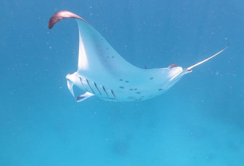 هتل Akasha Beach Maafushi