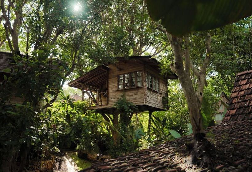 ホテル Roots Tree House