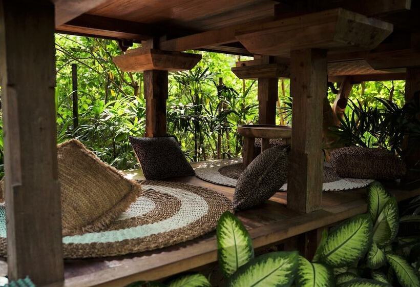 ホテル Roots Tree House