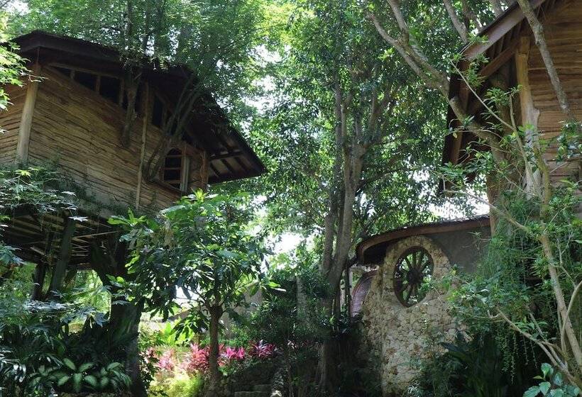 ホテル Roots Tree House