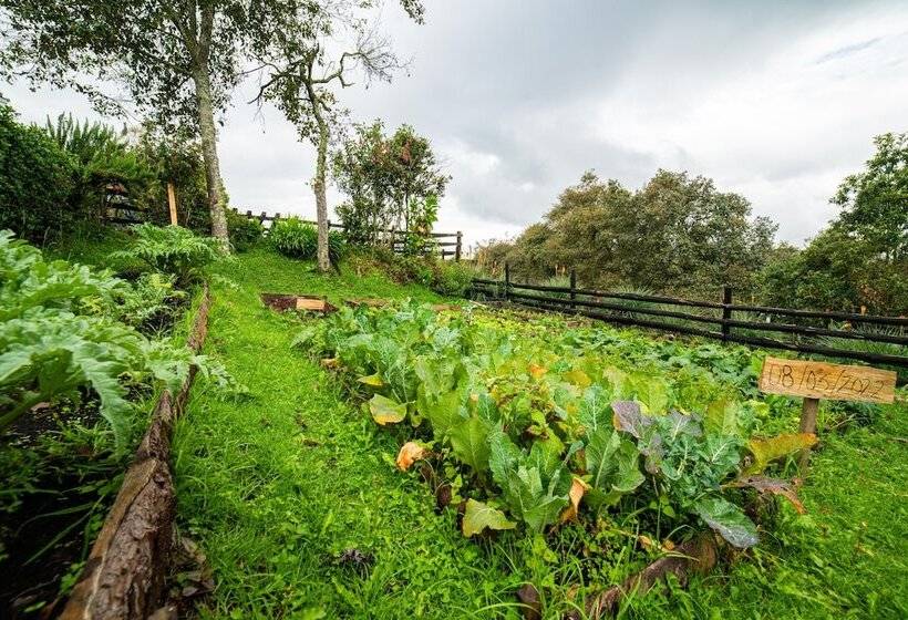 בית מלון כפרי Estancia San Antonio