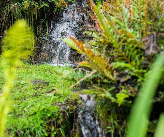 בית מלון כפרי Estancia San Antonio